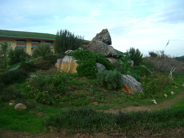 dsc02861