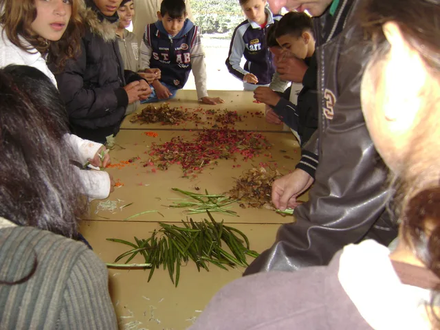 dsc03529