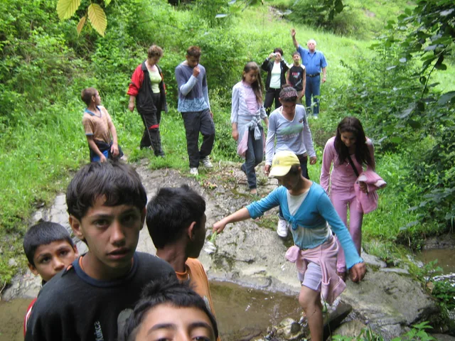 picture 028