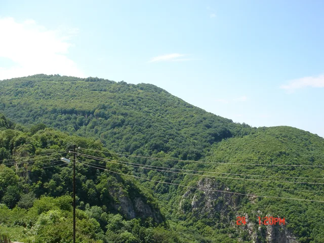 dsc03370