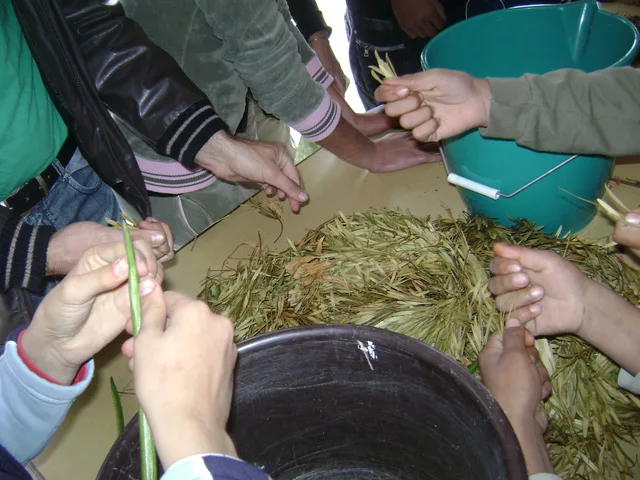 dsc03540