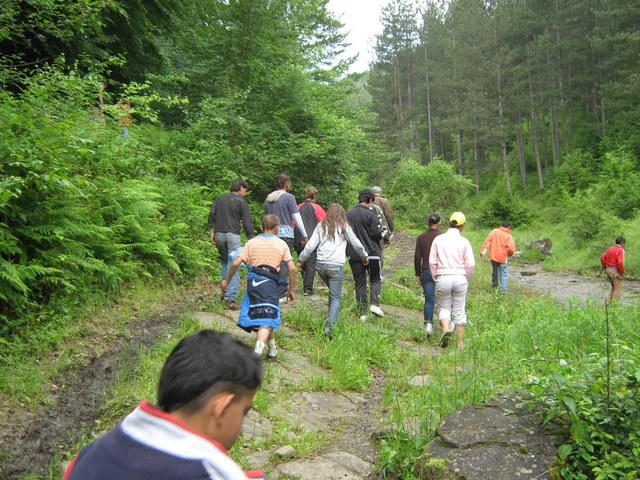 picture 009