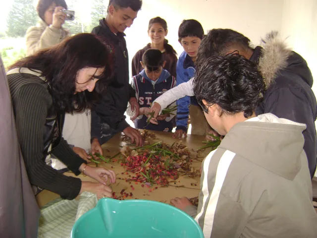 dsc03522