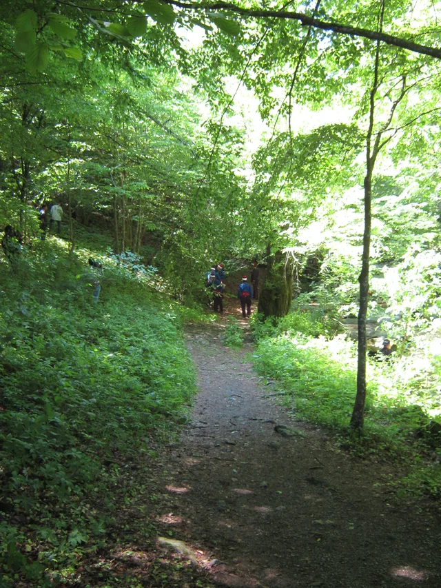picture 076